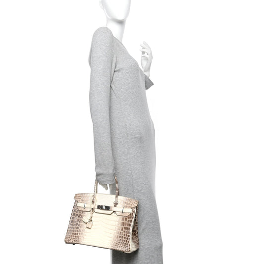 Matte Niloticus Crocodile Himalaya Birkin 30 Blanc
